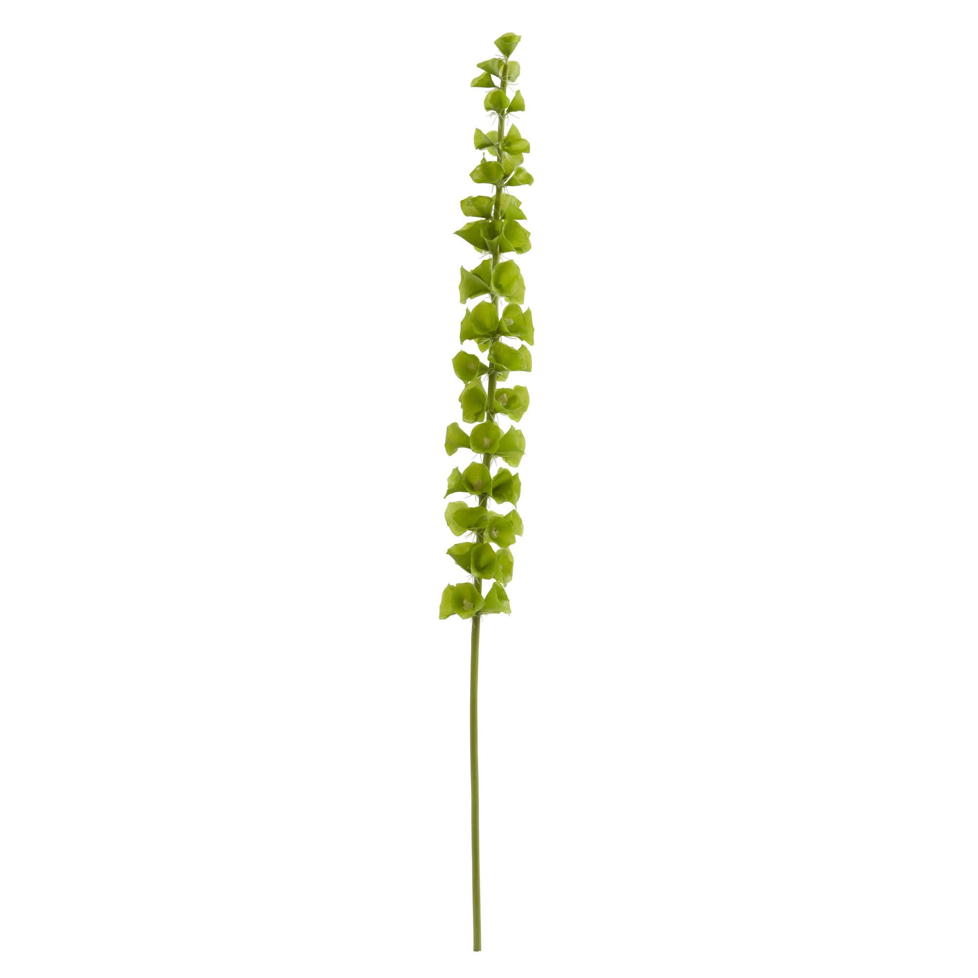 Bells of Ireland Stems, 3ct.